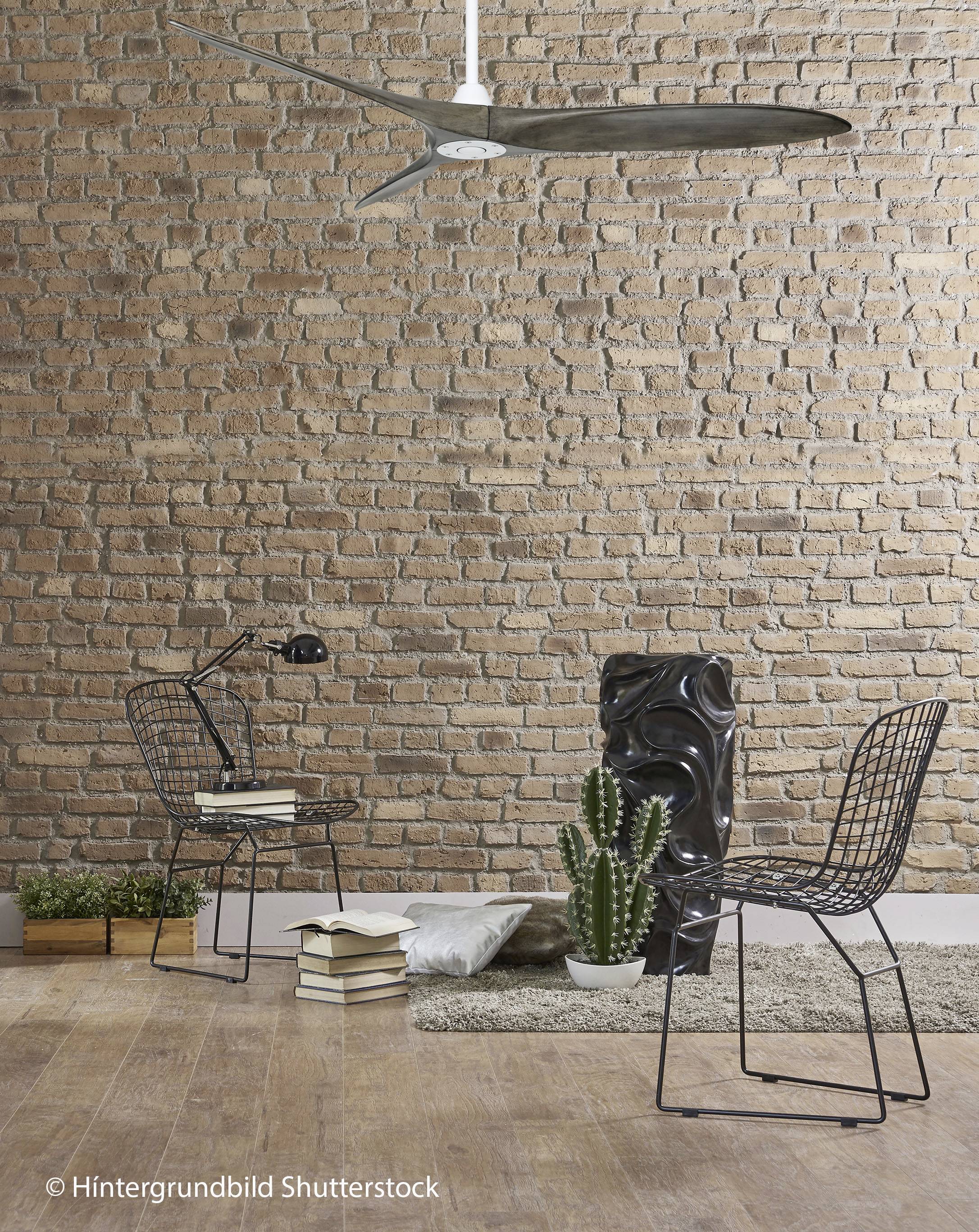 Dva črna mrežasta stola pred opečno steno, majhna miza z lučjo, kupom knjig, velik kaktus, ventilator na stropu.