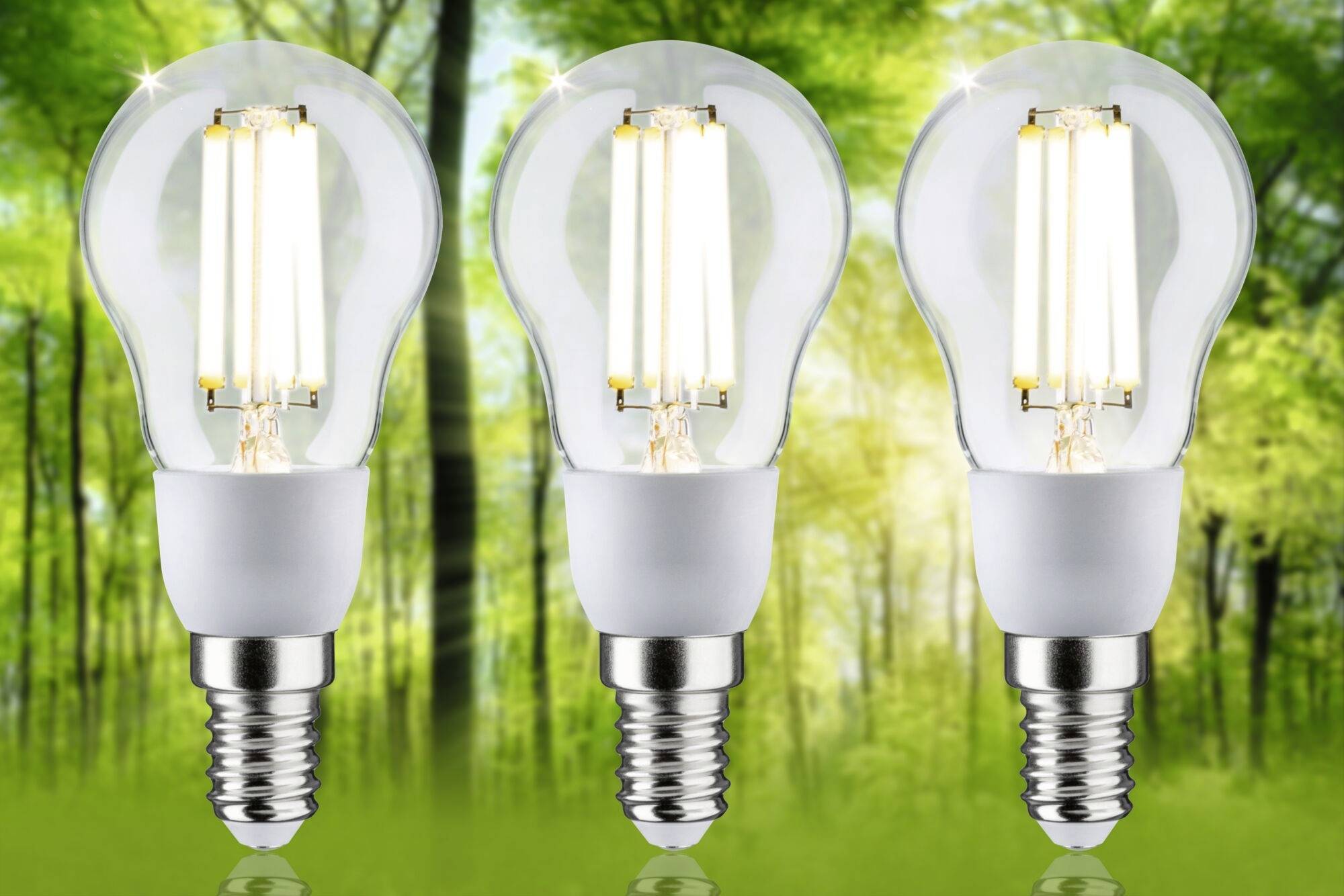 Tri svetleče žarnice pred zelenim, gozdnatim ozadjem simbolizirajo trajnostno in okolju prijazno energijo.