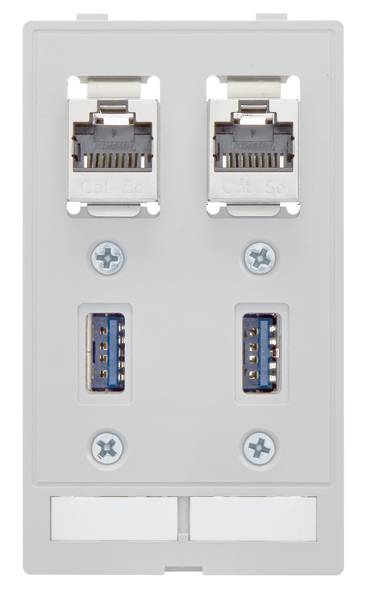 Bela stensko vtičnico z dvema LAN priključkoma zgoraj in dvema USB priključkoma spodaj, pritrjeni z vijaki.