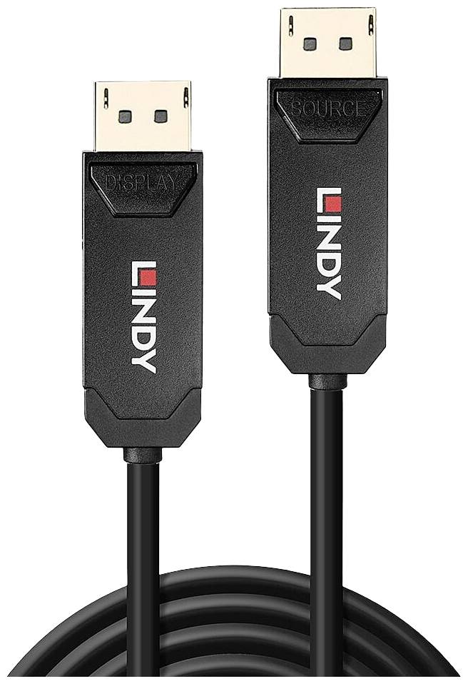 DisplayPort kabel znamke Lindy; levi vtič z napisom 'DISPLAY', desni z napisom 'SOURCE'. Črn kabel, vidna oba konca.