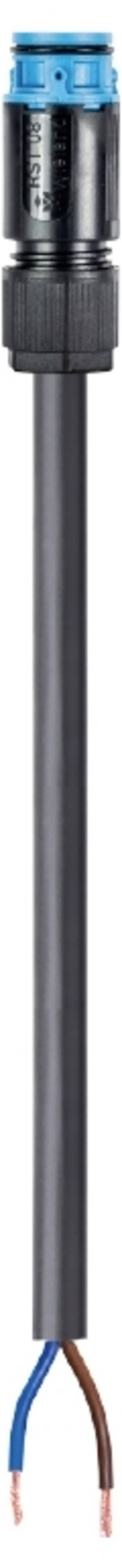 Wieland Electric 41.427.2533.9  priključni kabel  črna 2.5 m