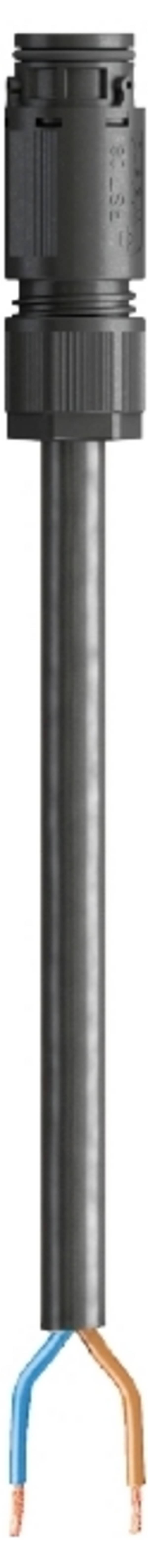 Wieland Electric 4L.427.0533.1  priključni kabel  črna 0.5 m