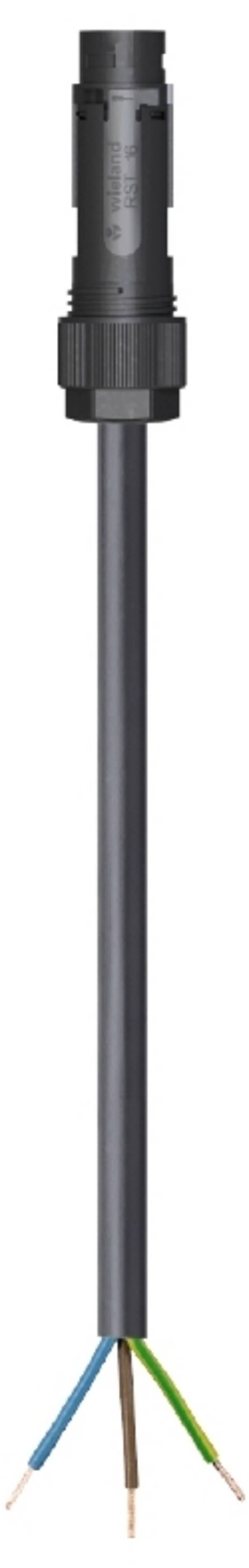 Wieland Electric 46.433.7004.1  priključni kabel  črna 7 m