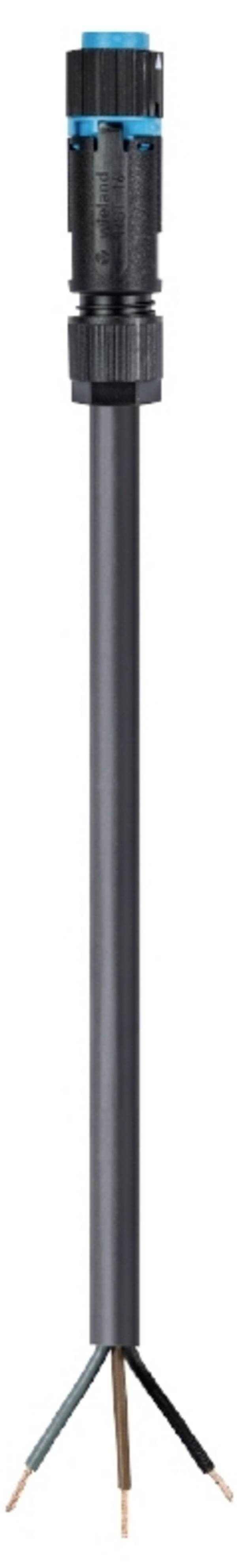 Wieland Electric 46.433.7033.9  priključni kabel  črna 7 m