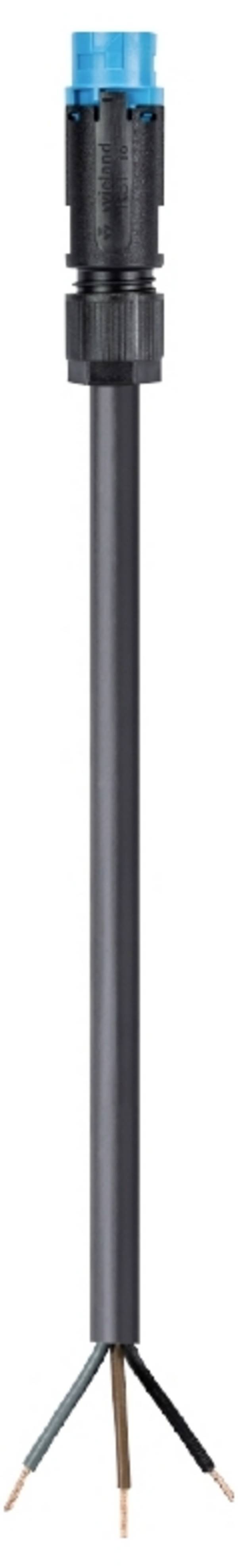 Wieland Electric 46.433.7034.9  priključni kabel  črna 7 m