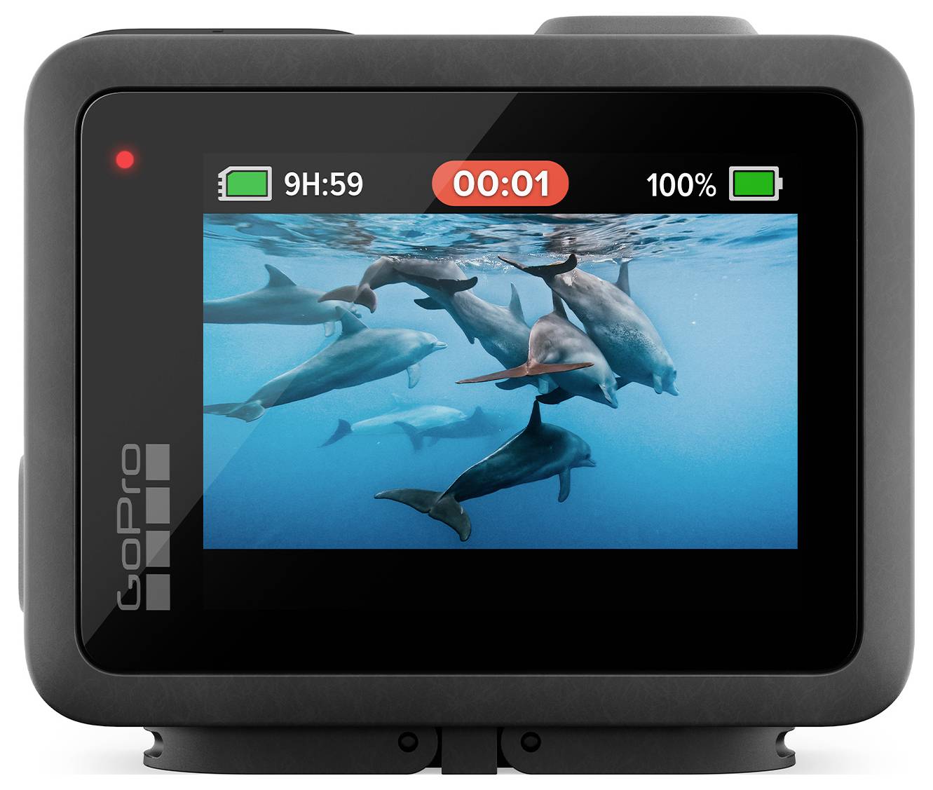 Kamera GoPro prikazuje videoposnetek igriv delfinov v kristalno čistem modrem morju. Indikator baterije je 100%, čas snemanja 00:01.