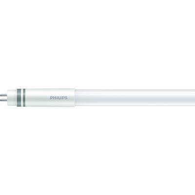 Bela fluorescenčna cev Philips z dvema kontaktoma na levi strani.