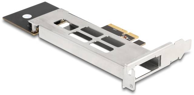 Delock 47028 zamenljiv okvir za trdi disk PCI-2