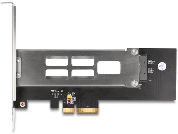 Delock 47028 zamenljiv okvir za trdi disk PCI-3