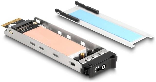 Delock 47037 zamenljiv okvir za trdi disk M.2-1