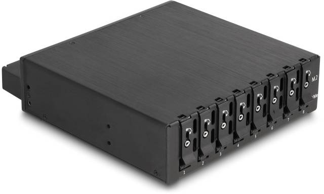 Delock 47129 zamenljiv okvir za trdi disk M.2, SAS-1