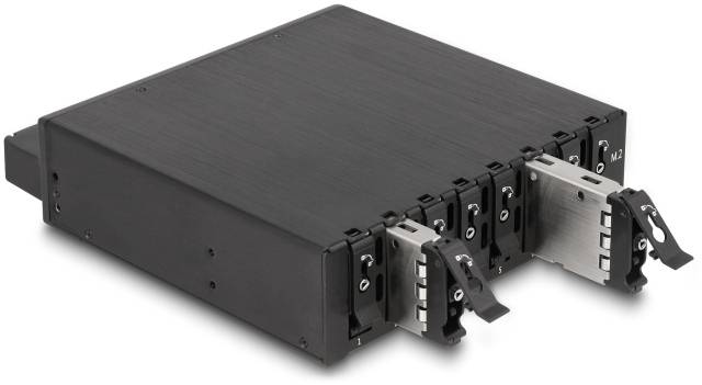 Delock 47129 zamenljiv okvir za trdi disk M.2, SAS-5