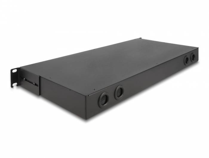 Delock 66924 patch panel 483 mm (19") kabel 1 U črna neopremljen-2