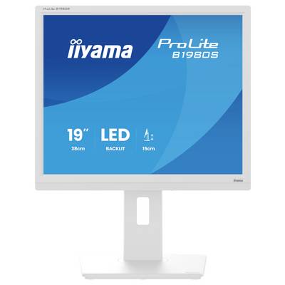 Zaslon 'Iiyama ProLite B1980S' s 19-palčnim zaslonom z LED osvetlitvijo in ergonomskim stojalom.