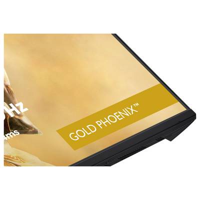 Monitorjev iiyama G-Master Gold Phoenix s premerom 32 palcev se odlikuje z igriško zasnovo ter ločljivostjo 2560x1440, hitrostjo osvežitve 240Hz in časom odziva 1ms.