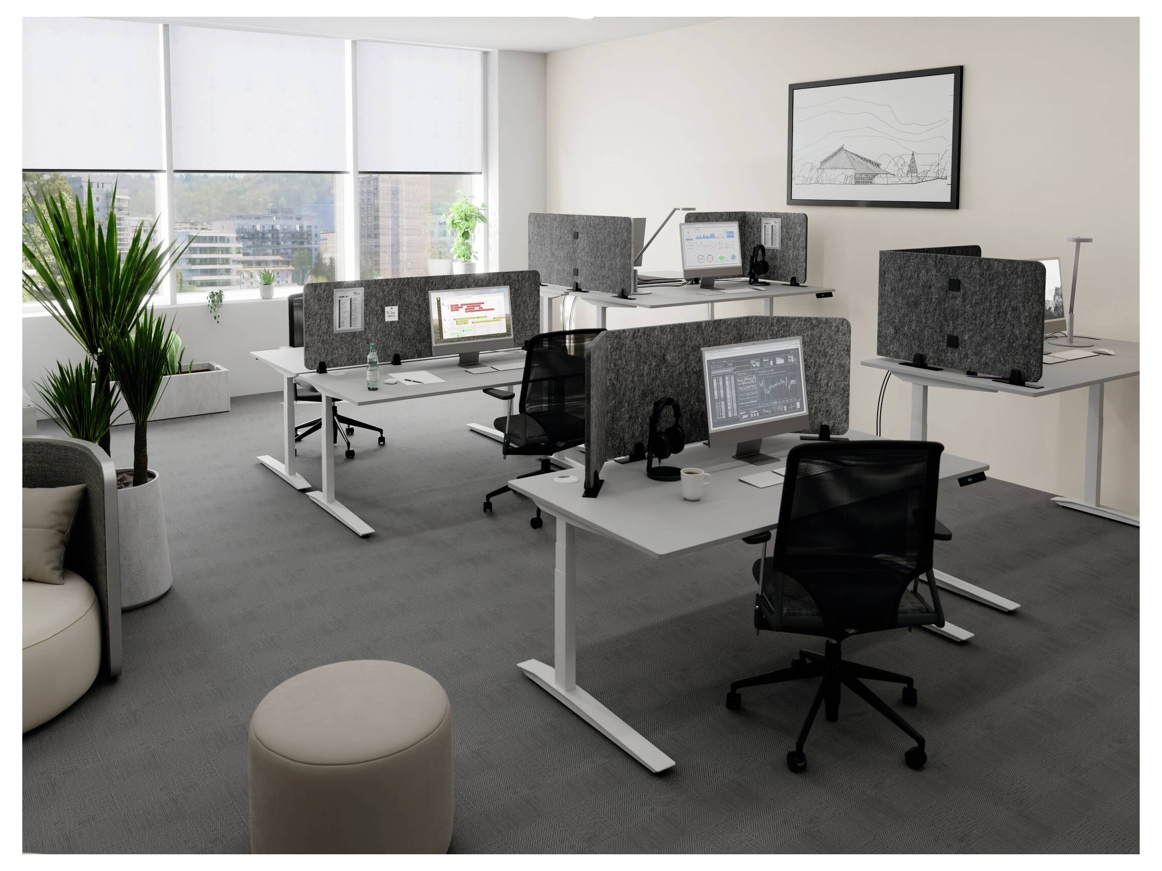 Sodoben pisarni prostor v odprtem načrtu z več delovnimi mesti, dvema monitorjema, črnimi stoli, velikimi okni, rastlino in okvirjenim stenskim tiskanjem.