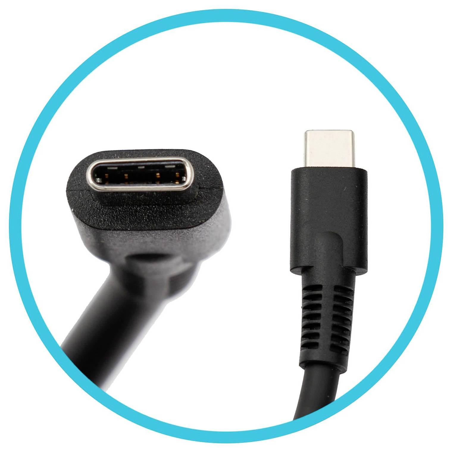 Bližnji pogled na dva USB-C konektor kabla, ki prikazuje konec vrat in konec vtikača znotraj modrega kroga.