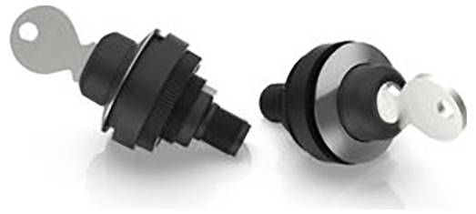 RAFI 1.11.051.233/0000 stikalo s ključavnico 1 kos-1