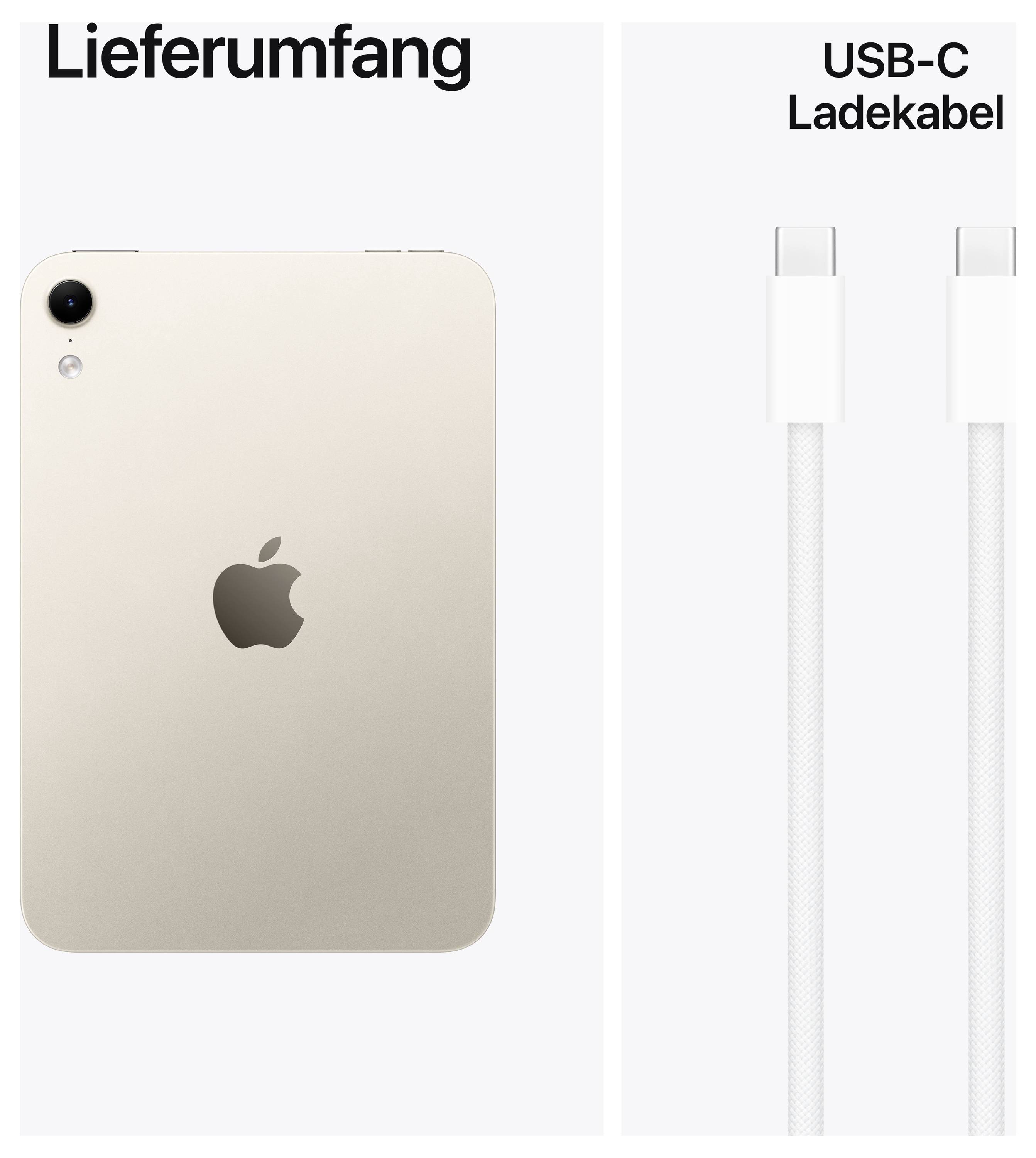 Obseg dobave: zlati iPad s hrbtne strani in kabel USB-C za polnjenje.