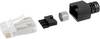 BEL Stewart Connectors SS-39200-006 SS-39200-006 ravni moški konektor Število polov: 8P8C kristalno čista 1 kos