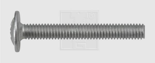Lečasti vijaki M4 45 mm križni Pozidriv pocinkano jeklo 100 kosov SWG