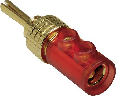 TRU COMPONENTS banana vtič ravni moški konektor Premer pina: 4 mm rdeča 1 kos-0