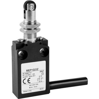 Končno stikalo 24 V 5 A valjčni bat Panasonic MEP1G22Z IP67 1 kos-0