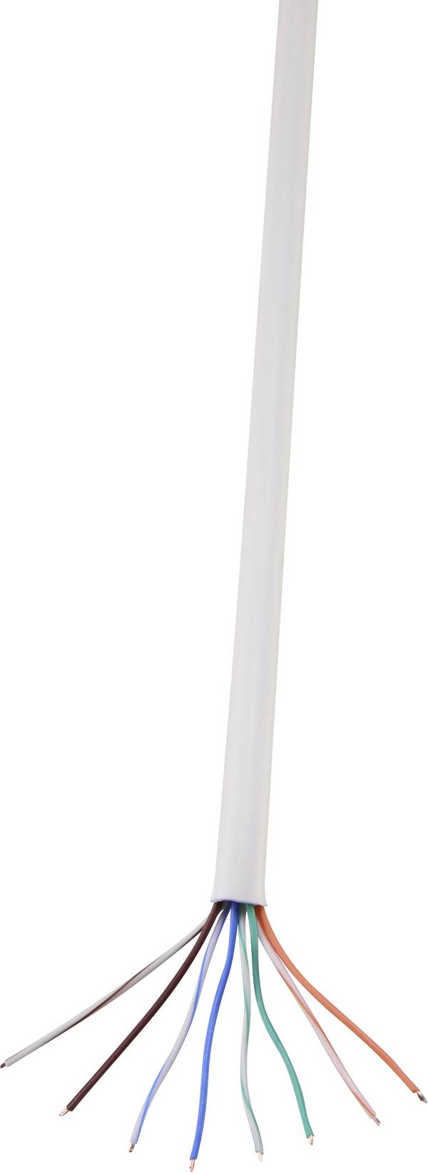 TRU COMPONENTS omrežni kabel CAT 5e U/UTP 4 x 2 x 0.14 mm² bela 100 m