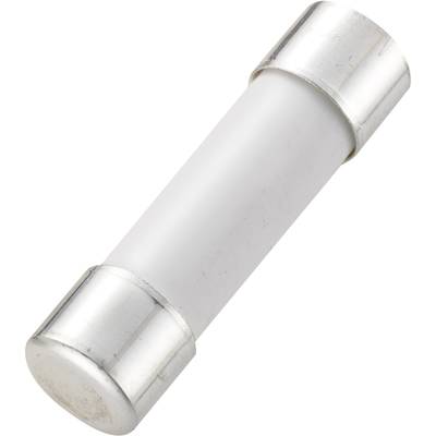 TRU COMPONENTS 1234611 110102700109X varovalka za multimeter (Ø x D) 6.35 mm x 25.4 mm 1 A 250 V hiter -H- Vsebina 1 kos-0