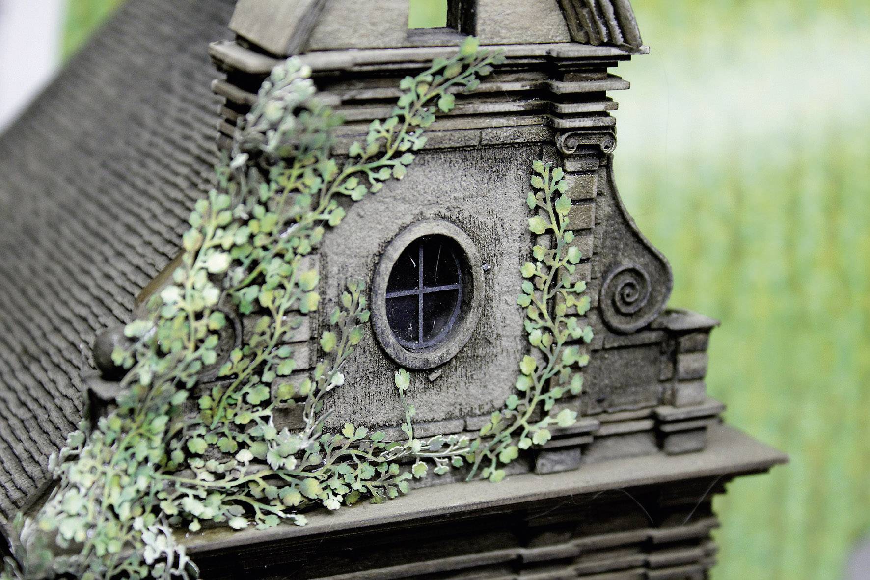 MBZ 80117 vitice divja trta zelena-0