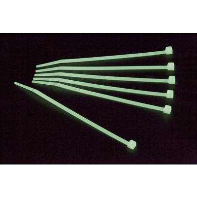 Kabelske vezice 300 mm zelene barve fosforescentne Conrad Components 546633 50 kos