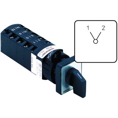 Odmično stikalo 10 A 1 x 30 ° sive barve, črne barve Sälzer P110-61037-219M1 1 kos-0