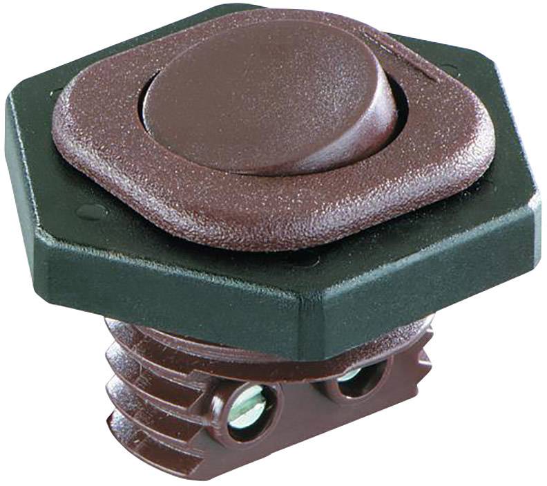 interBär klecno tipkalo 8014-001.01 250 V/AC 6 A 1 x izklop/vklop zaskočno 1 kos Piece