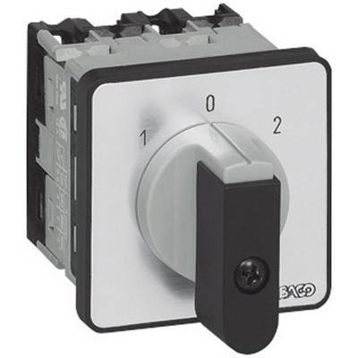 BACO NC01GQ1-Preklopno stikalo, 16A, 2x30°, sivo, črno, 1 kos BANC01GQ1-0