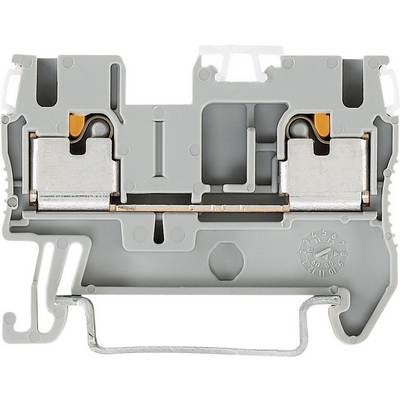 Push-In prevodna sponka PT PT 2,5 Phoenix Contact sive barve, vsebina: 1 kos-0