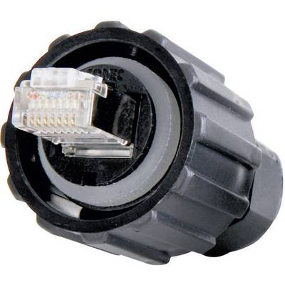 RJ45 komplet vtičev, vgraden, polov: 8P8C 17-100464 Conec 17-100464 1 kos-0