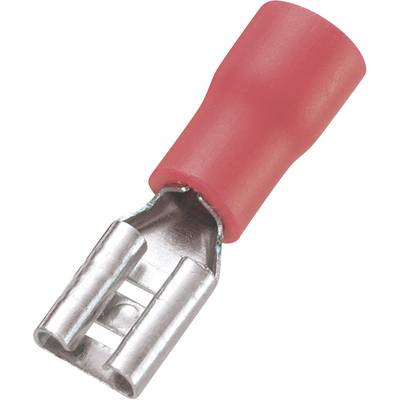 TRU COMPONENTS 745122 ploščati vtični tulec Širina jezička: 4.8 mm Debelina vtiča: 0.5 mm 180 ° delno izoliran rdeča 100-0