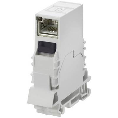RJ45 priključek Weidmüller pol: 8P8C IE-TO-RJ45-C vsebina: 1 kos-0