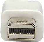 Manhattan Mini-DisplayPort / DisplayPort adapterski kabel mini DisplayPort vtič, DisplayPort vtič 2.00 m bela 324748-CG DisplayPort kabel