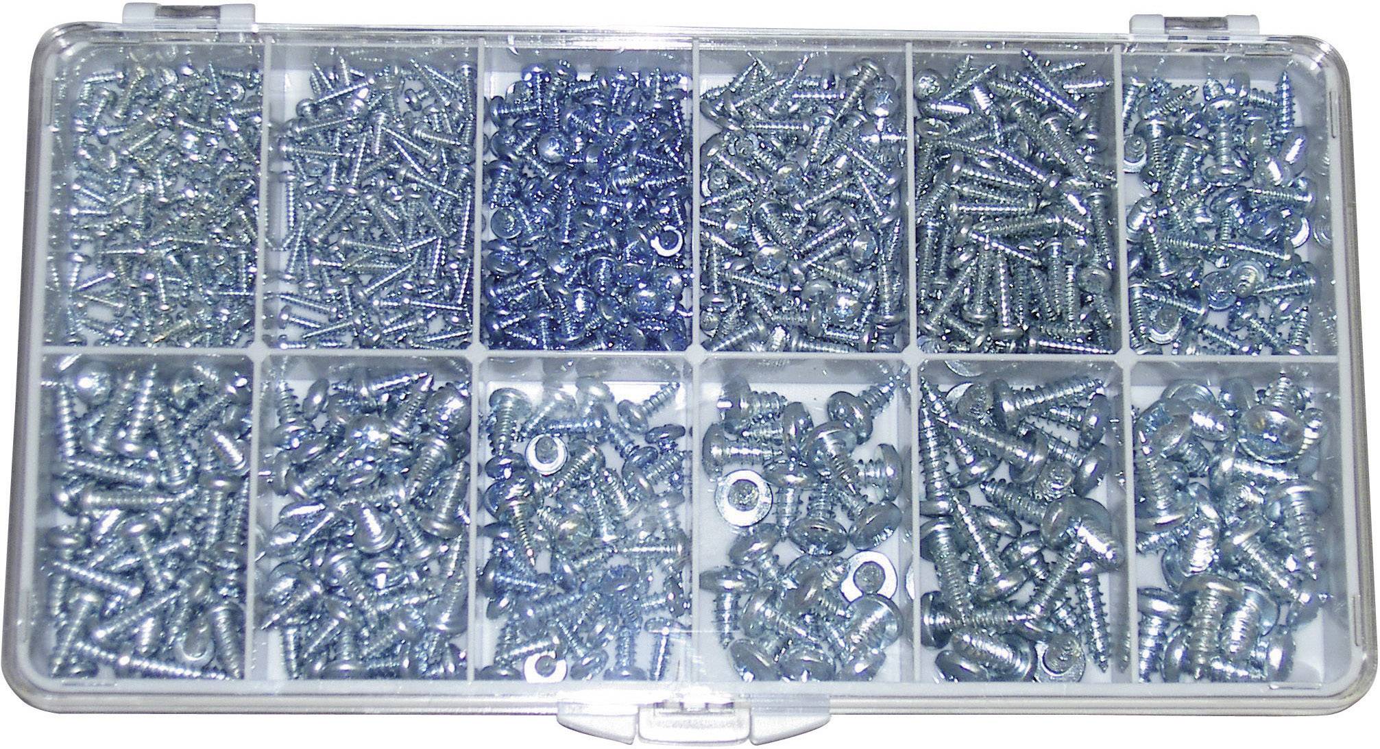 Plastična škatla z enajstimi predali, napolnjena z različnimi vrstami in velikostmi srebrnih vijakov in matic.