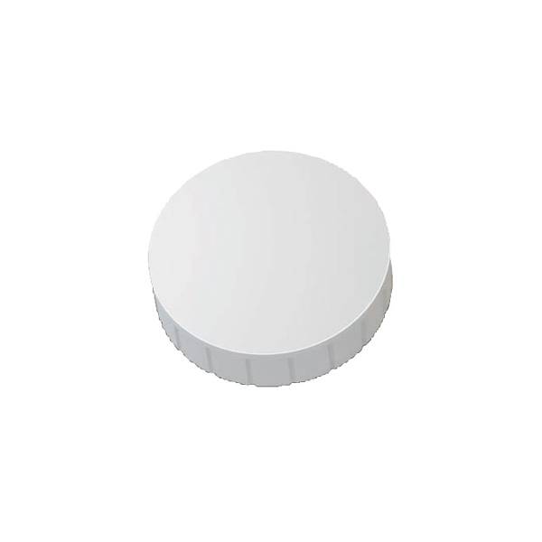 Maul magnet MAULsolid (Ø x V) 38 mm x 15.5 mm okrogla bela 10 kos 6163902