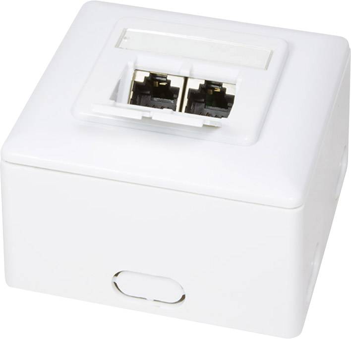 LOGILINK CAT 6 RAL 9003 AP-OMREŽNA DOZA NP0039-0