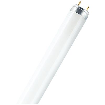 OSRAM Lysrör EEK: G (A - G) T8 / G13 36 W Varmvit Rörform (Ø x L) 26 mm x 1213.5 mm 1 st