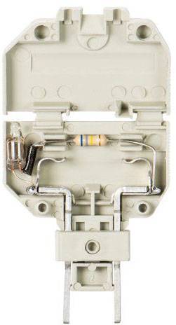 Wieland Electric Z1.299.4255.0 Säkring kontaktdon Kontaktdon Grå 1 st Piece