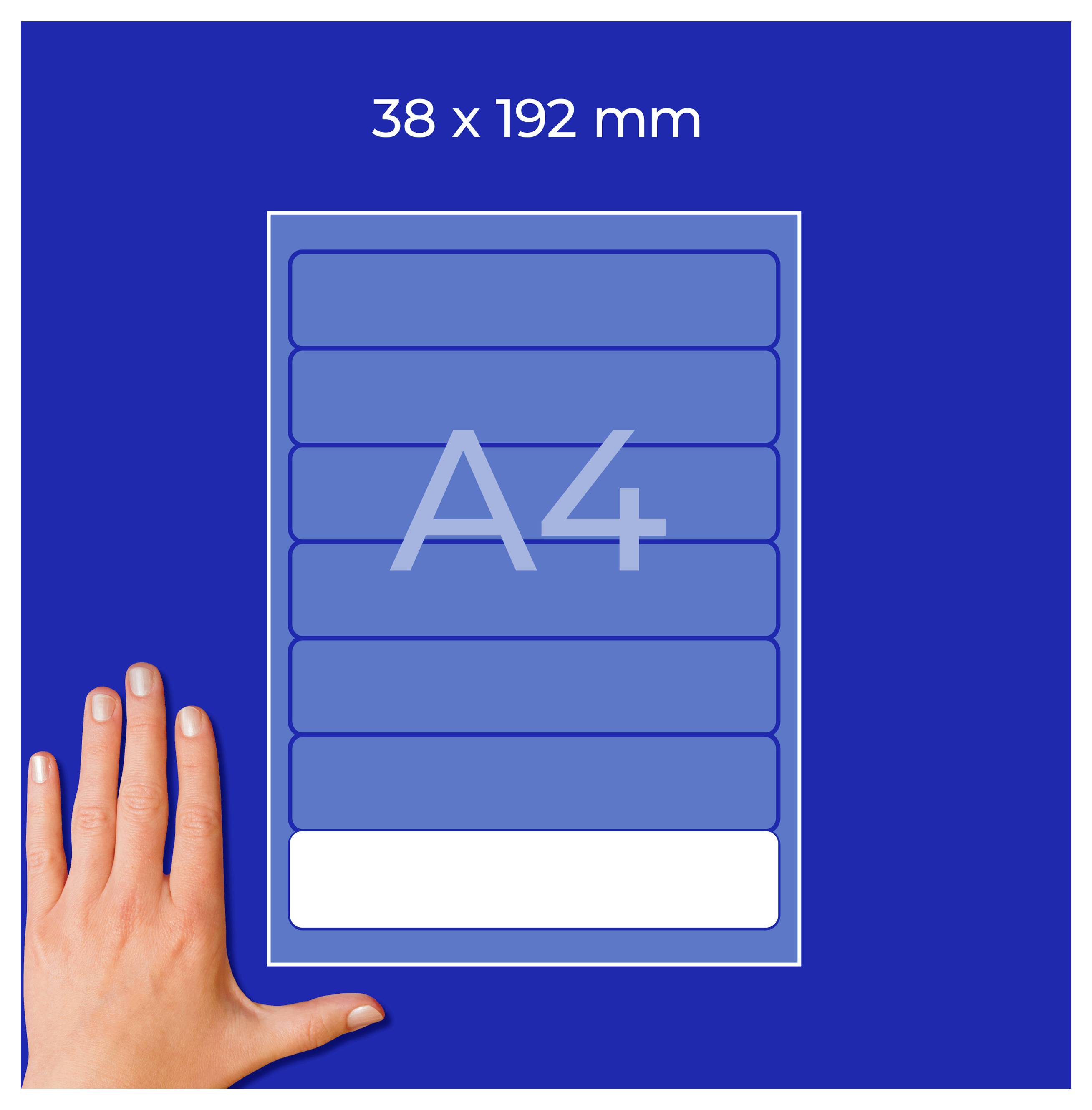 A4-klistermärkesformat 38 x 192 mm med tryckt "A4" och hand som storleksförjämning på blå bakgrund.
