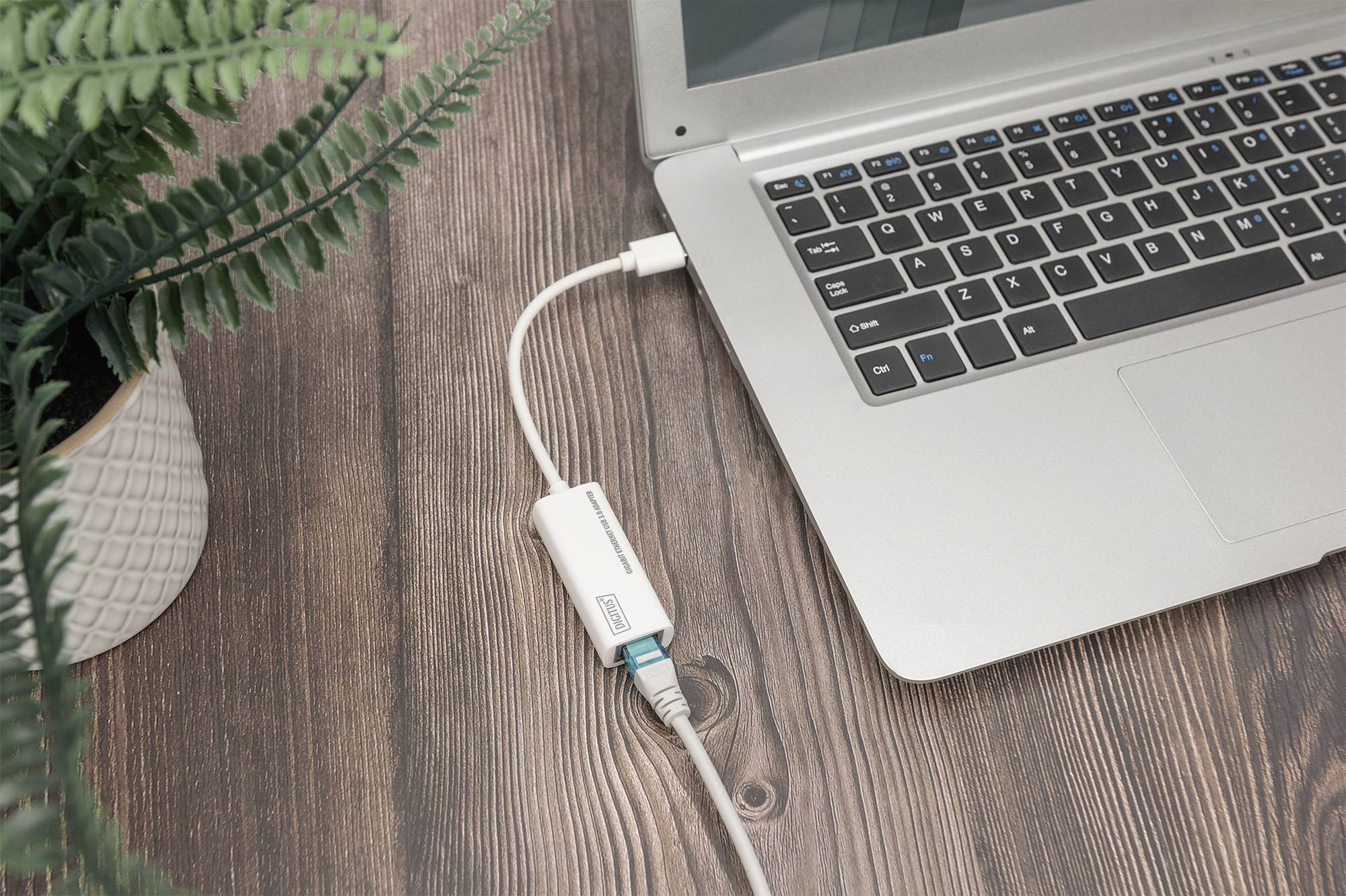 En bärbar dator på ett träbord är ansluten till en LAN-adapter. Bredvid står en växt i en vit kruka.