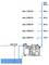 Schema för vattenpump: Maximal kapacitet på 5 200 l/h vid 10 m höjd upp till max 1 200 l/h vid 55 m höjd. Maximal sugdjup 8 m.