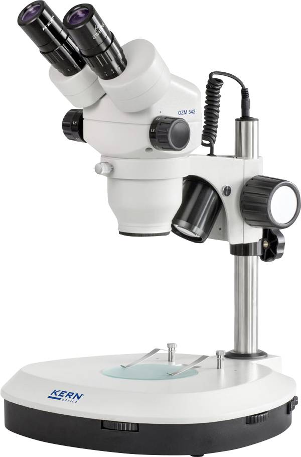 Ett mikroskop på ett stabilt stativ, utrustat med två okulära linser och ett inställningshjul för preciserade observationer.