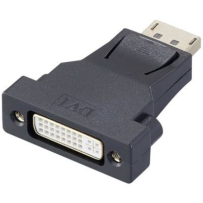 Svart adapter med DVI-anslutning på ena sidan och DisplayPort-kontakt på den andra sidan.