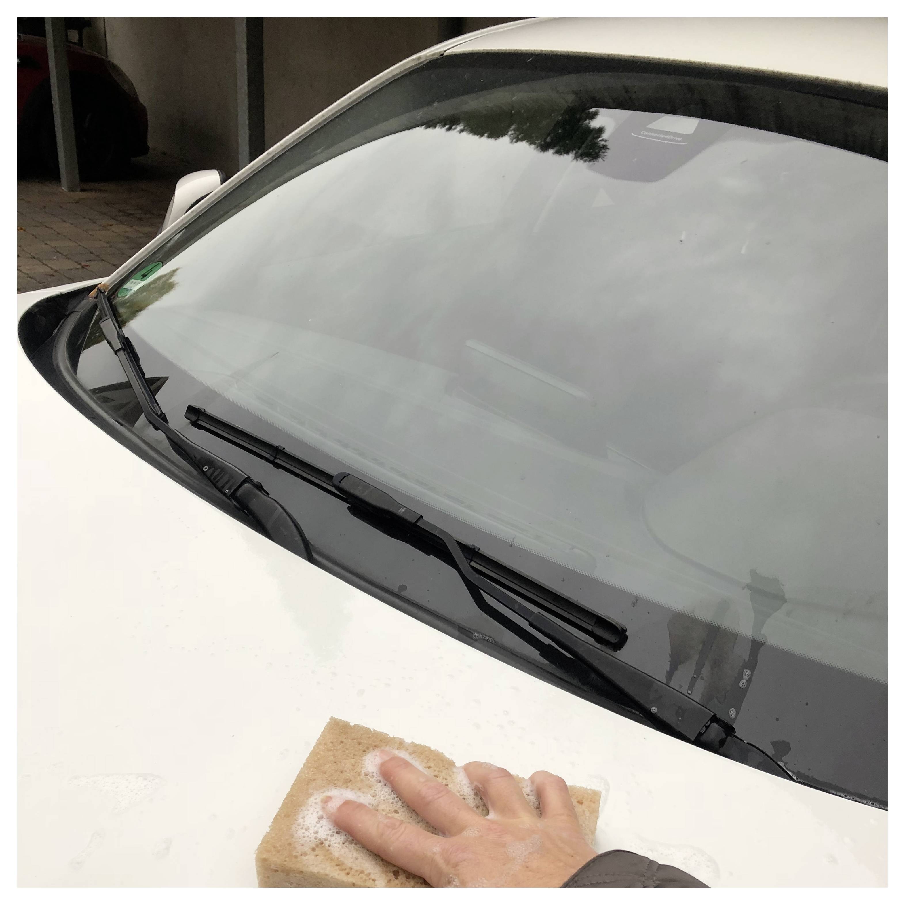 IWH 072011 Natur Svamp 1 st (L x B x H) 16 x 11 x 6 cm-1